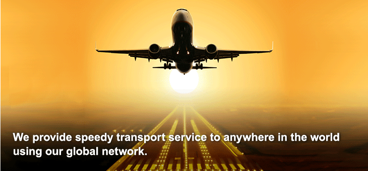 We provide speedy transport service to anywhere in the world using our global network.